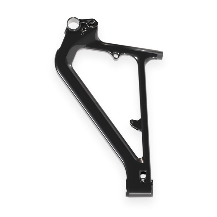 Carbon front triangle Iuhu CP - gloss black