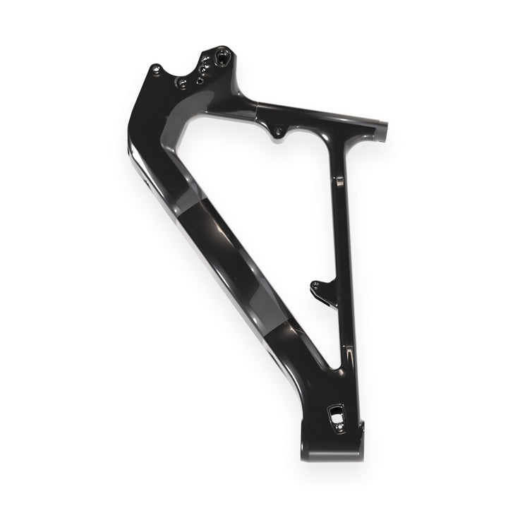 Carbon front triangle Paratu CP LR 600 Wh - gloss black