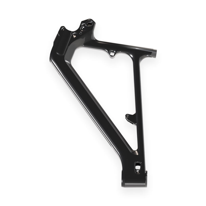 Carbon front triangle Paratu CP SL - gloss black